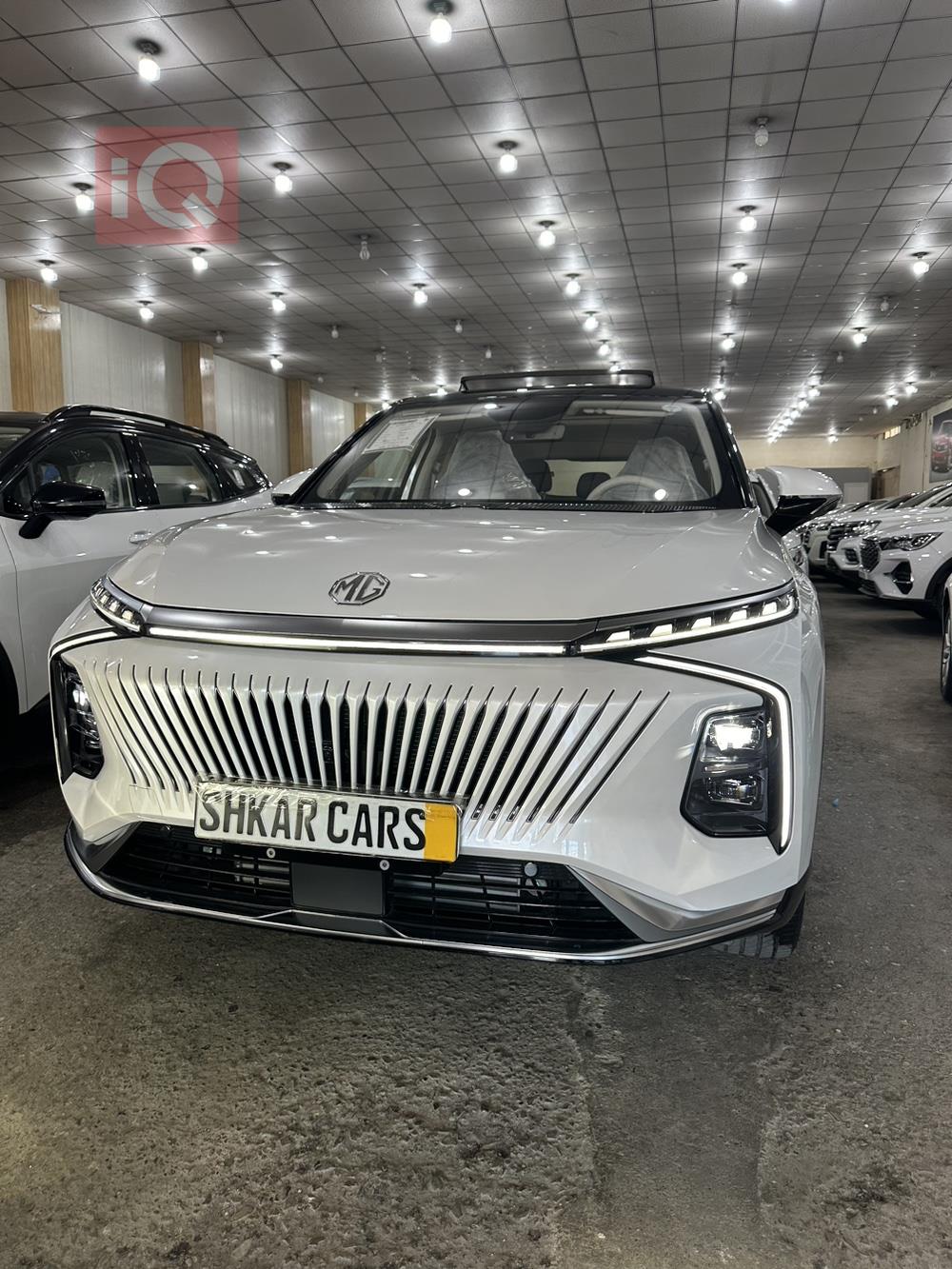 MG Whale